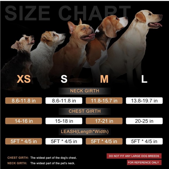 Dog harness and leash set - Picture 4 of 7